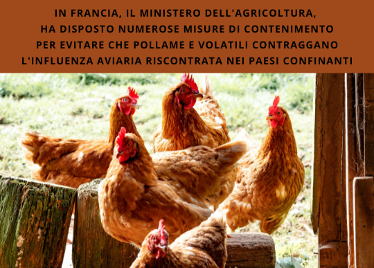 in francia misure contro influenza aviaria.png